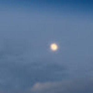 Meet your Posher, Eleanor